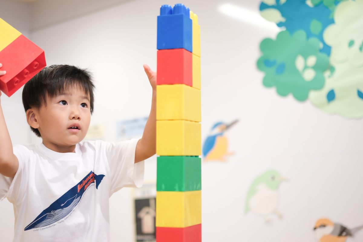 積み木をする様子